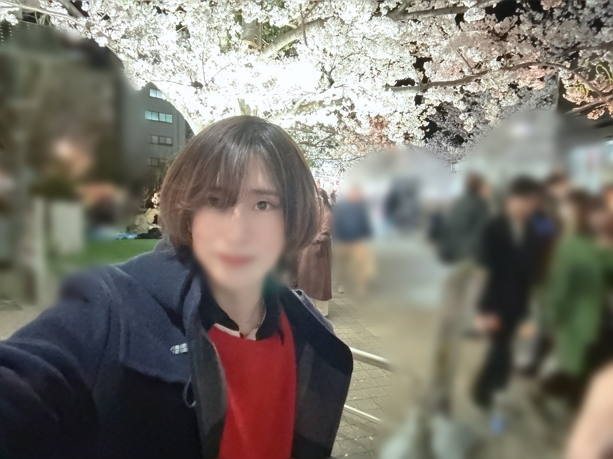 【ホント少しづつだけど】