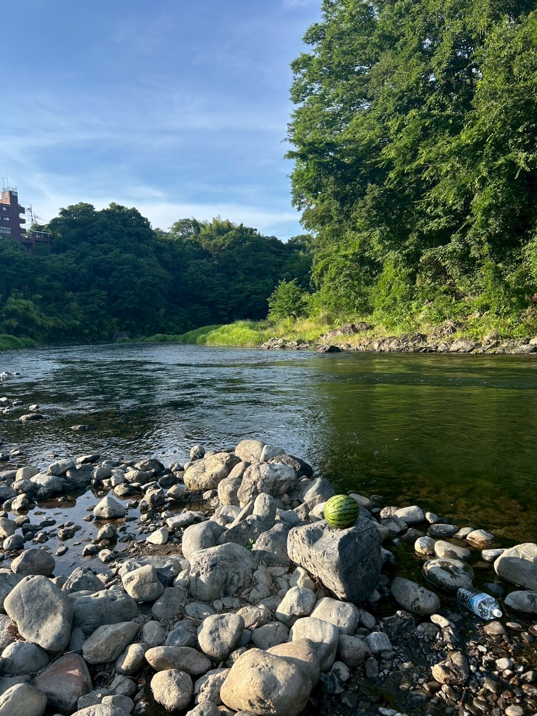 今年初、川に行ってきました