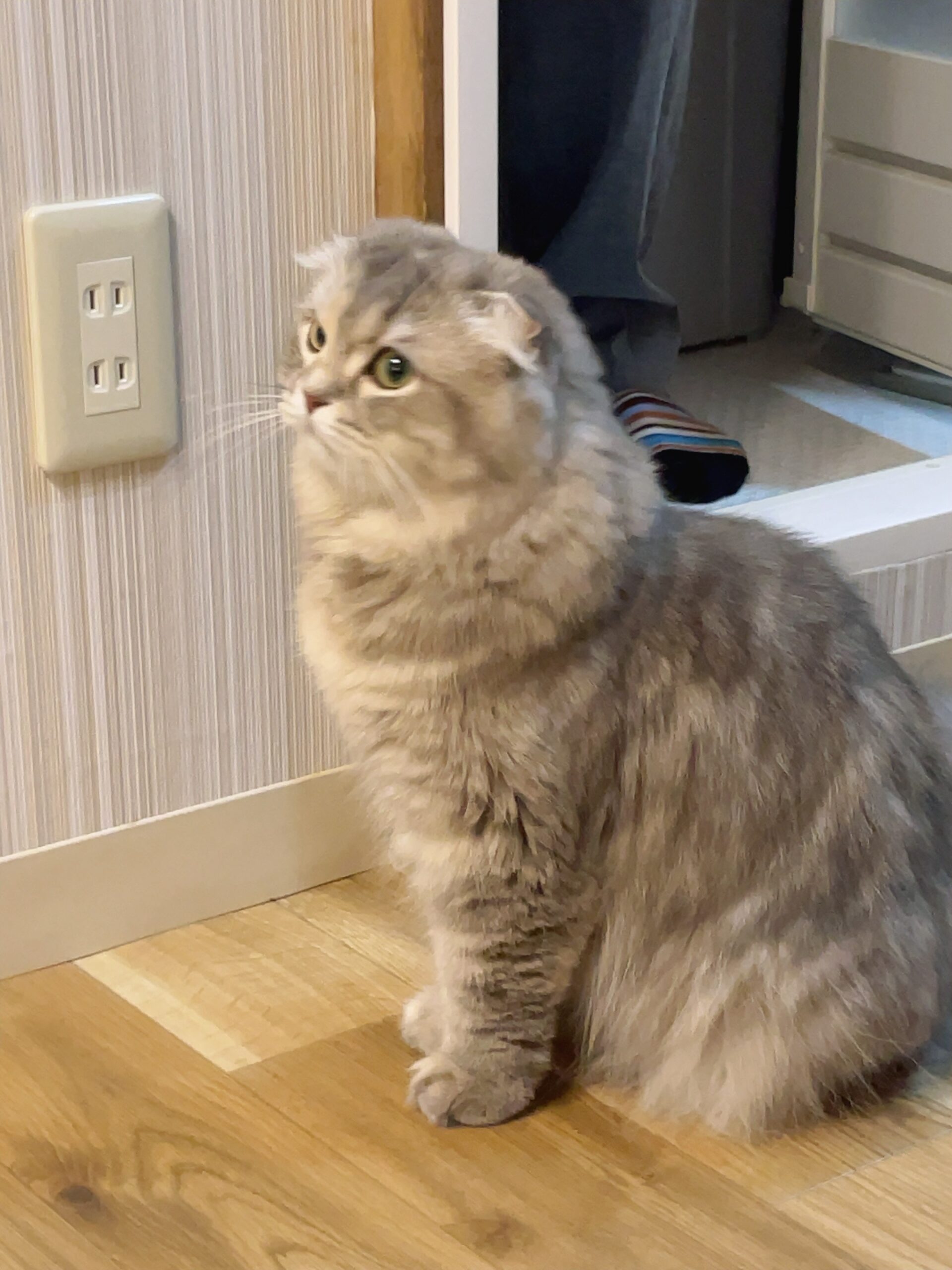 イマシブさん握手会を終えて