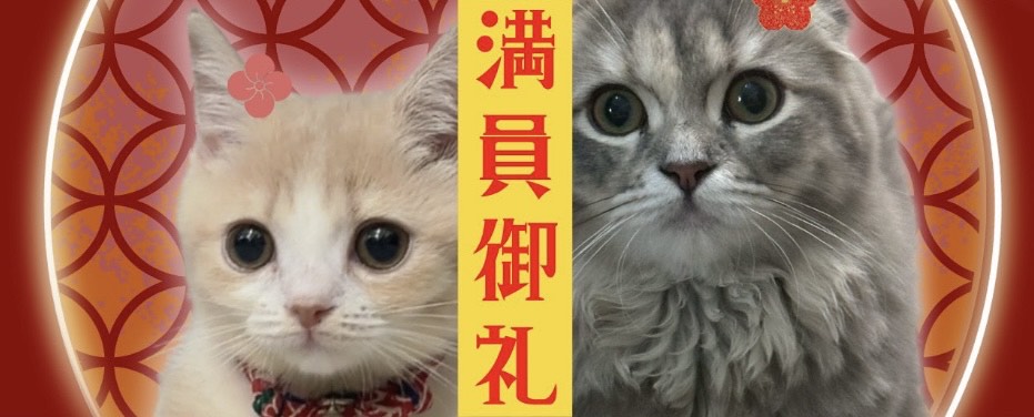 イマシブ握手会を終えて