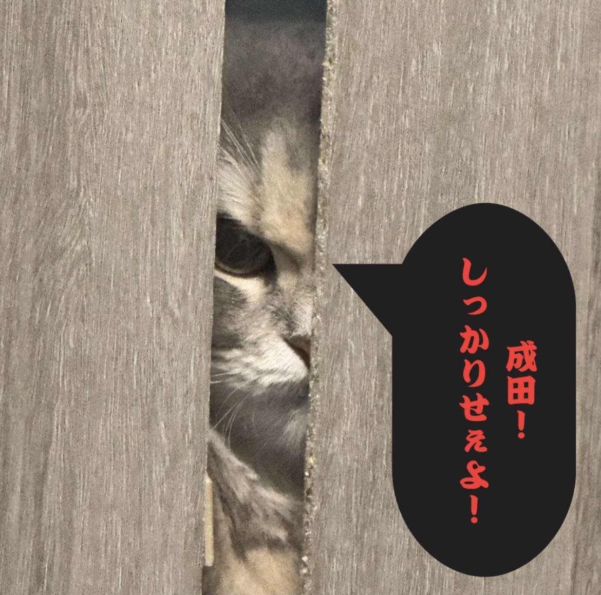 勝利さんへ