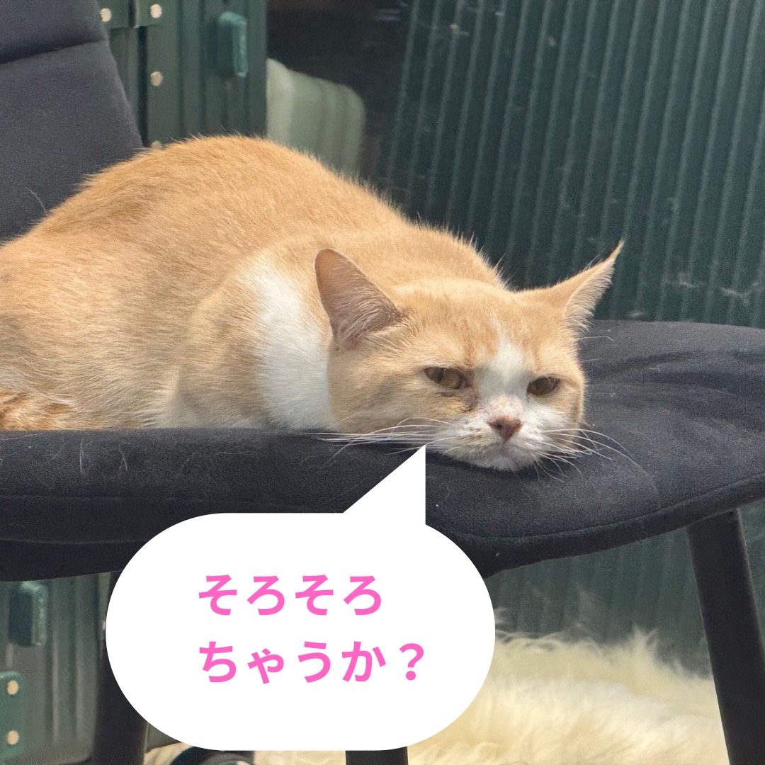 【指名セラピストを変えるタイミングやサイン】