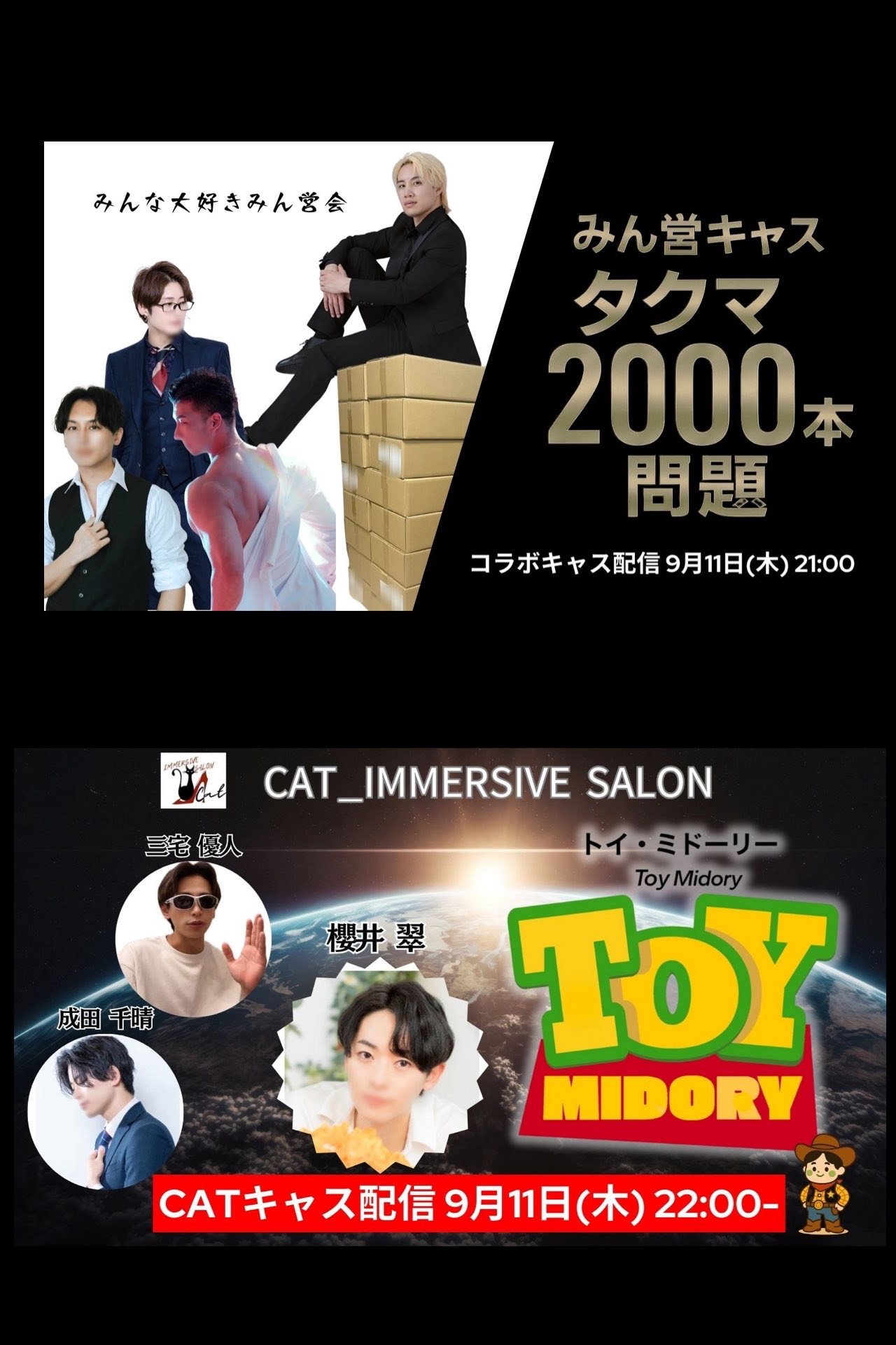 猫の画像