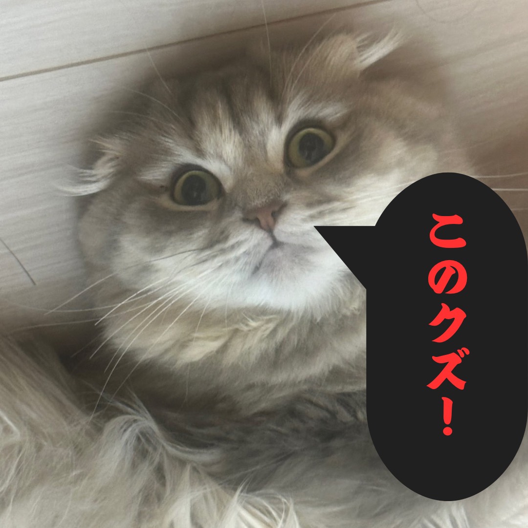 【クズ男の心得 六箇条】