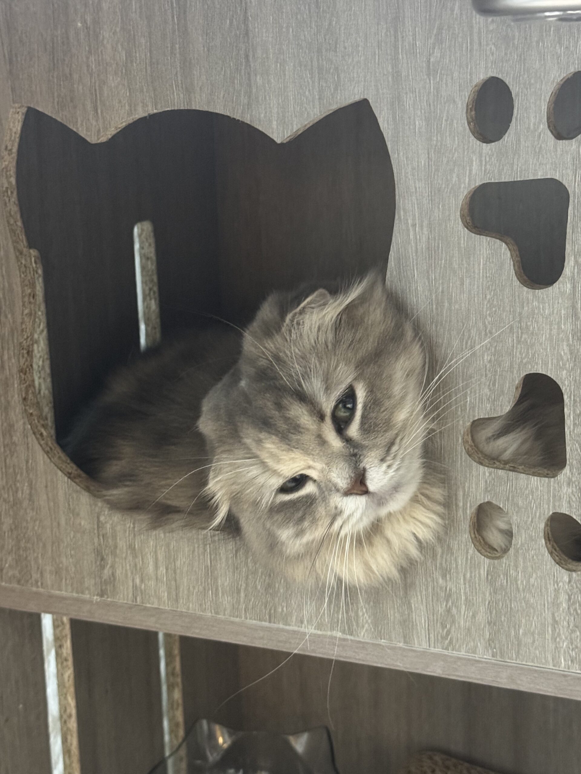 【遂に決めました】