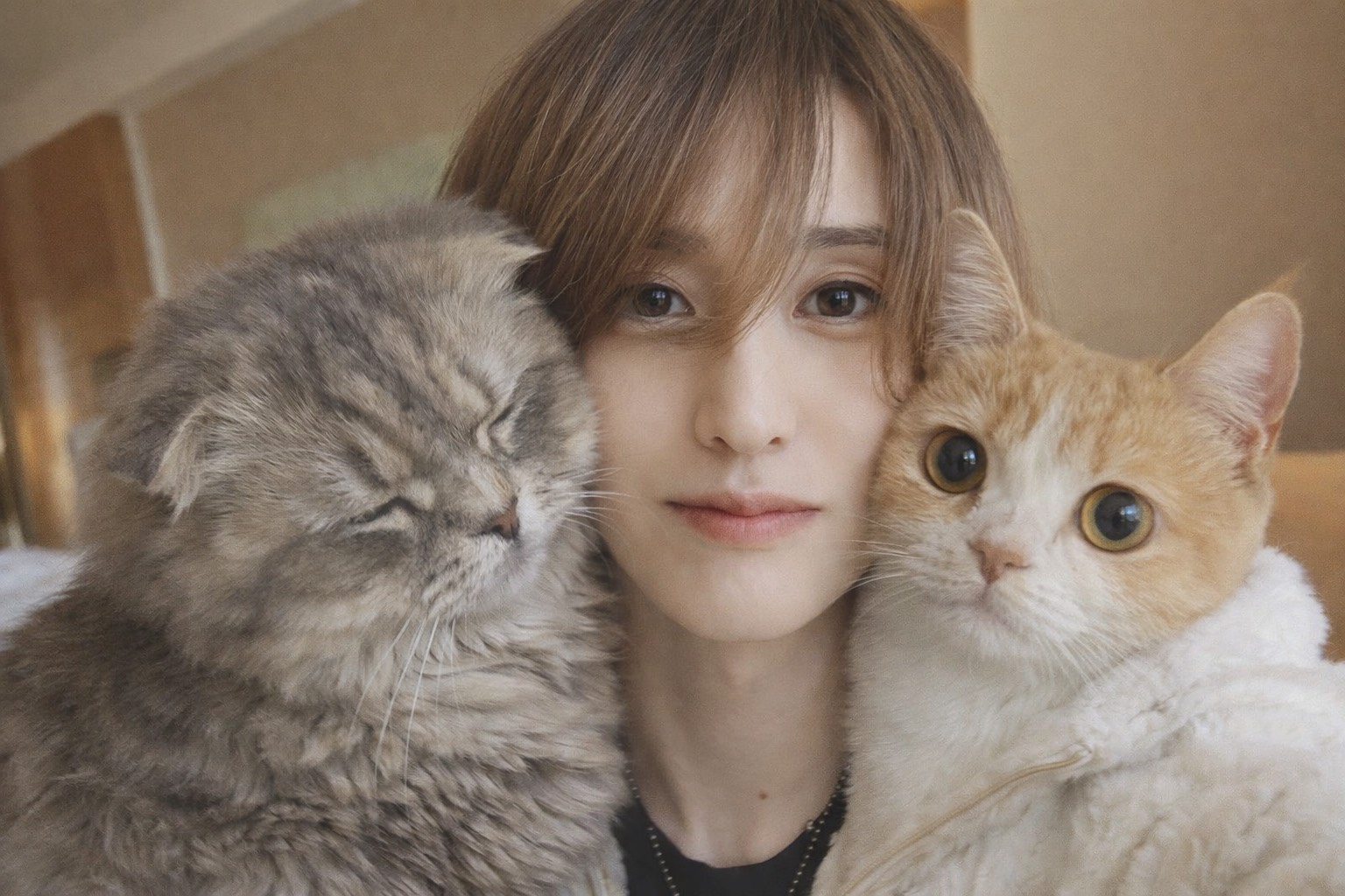 【西島のリピーター猫はキレかわしかいない説】