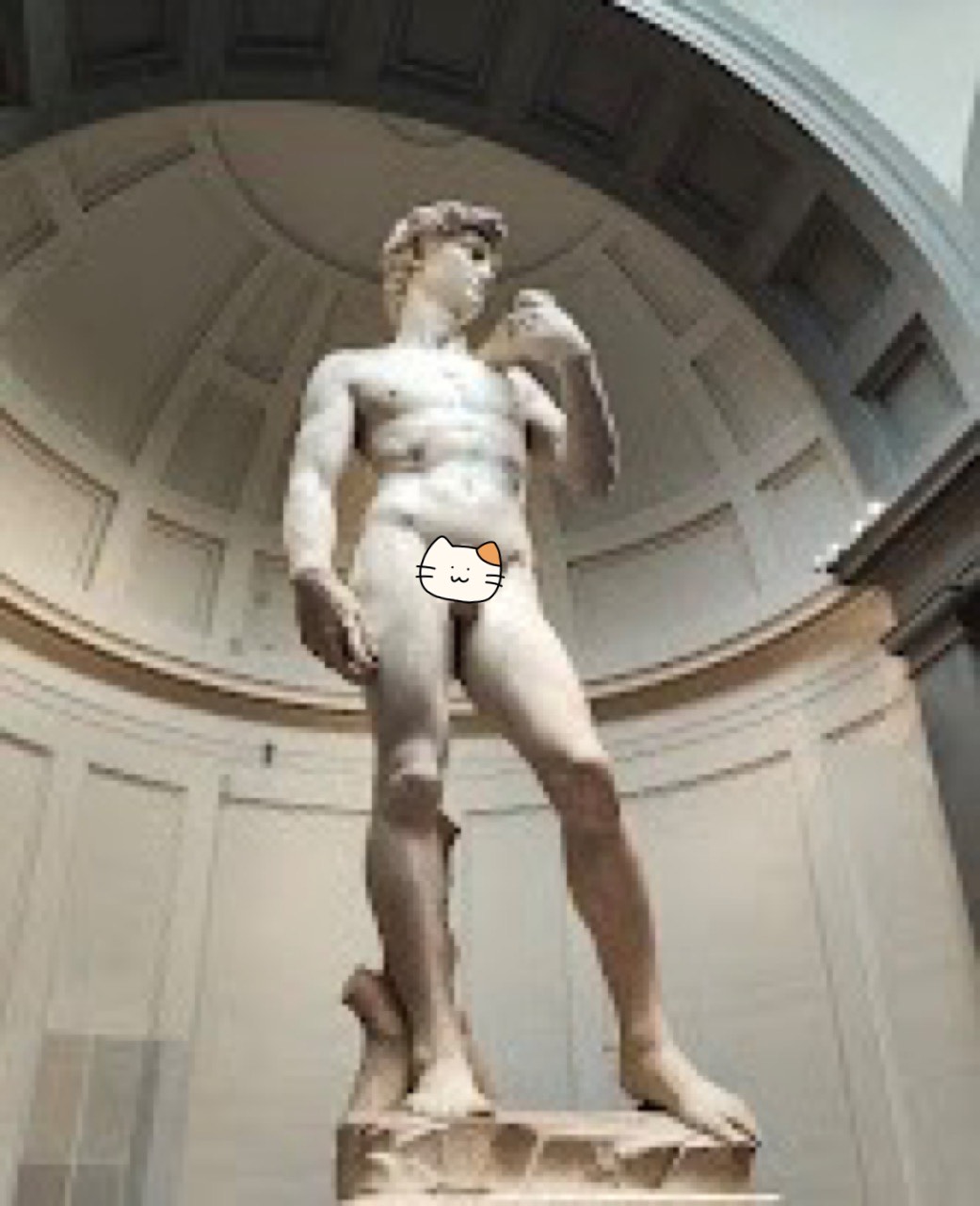 ダビデジョウリ